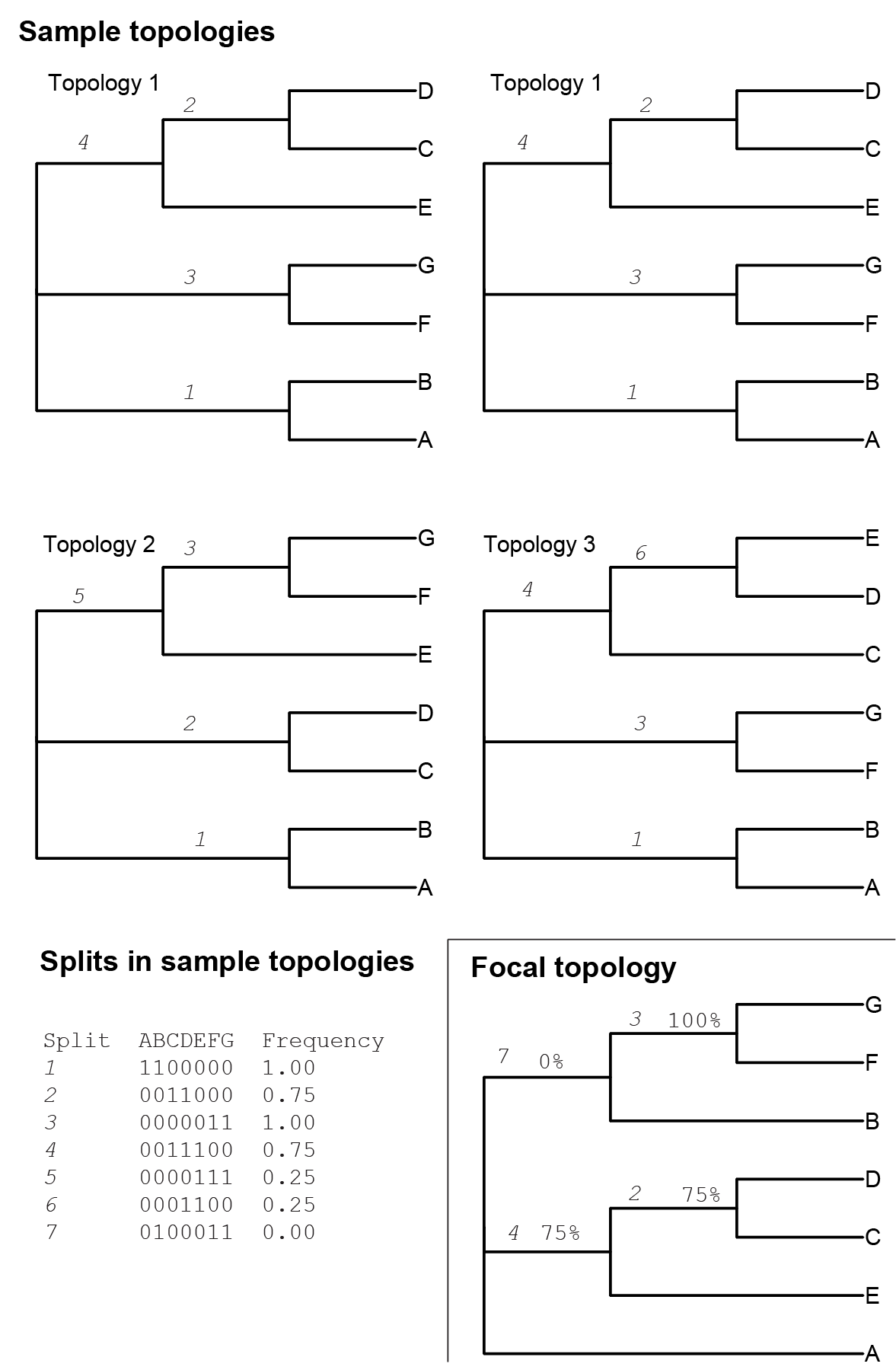Four phylogenies in a sample, one focal phylogeny, and a table of splits found in all of these topologies. A split is a branch, with the identification of the branch based on which taxa are split from each other by the branch. The splits table shows the binary encoding of each split, where taxa on the same side of the split have the same binary number (0 or 1). The assignment of 1 or 0 to a particular side of the split is arbitrary. Identical splits are labeled consistently above the branches throughout the figure. The frequency of the split is based on the proportion of sample phylogenies that contain the splits. The frequencies of the sample splits are shown as percentages on the branches in the focal topology.
