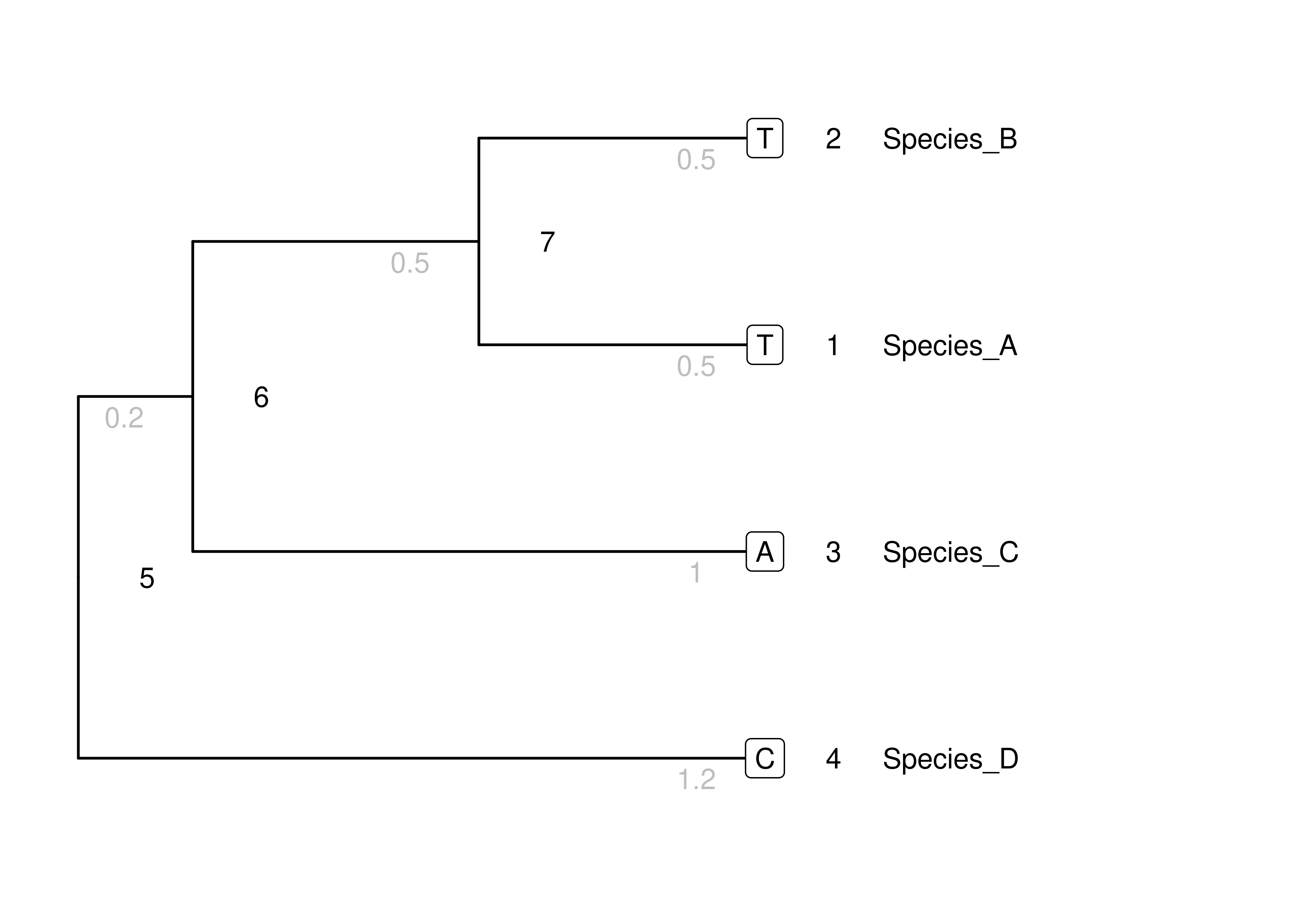 The toy phylogeny we will use to examine inference. Node numbers are in black. Branch lengths are gray numbers below branches. Tip node states are within boxes.