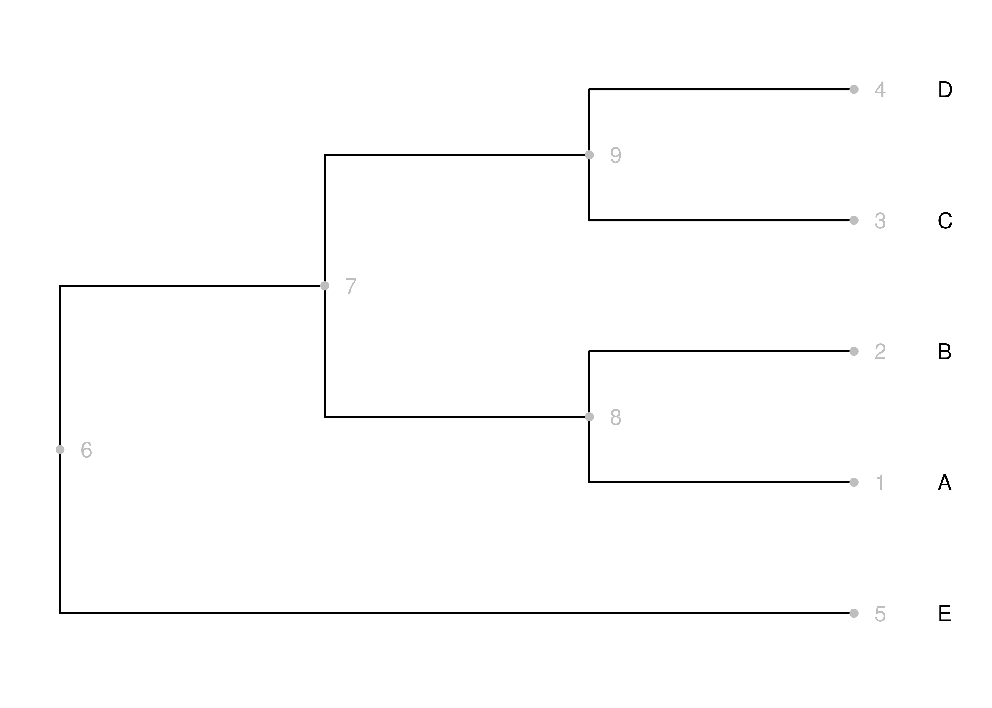 A cladogram. Nodes and node numbers are gray, and branches are black.