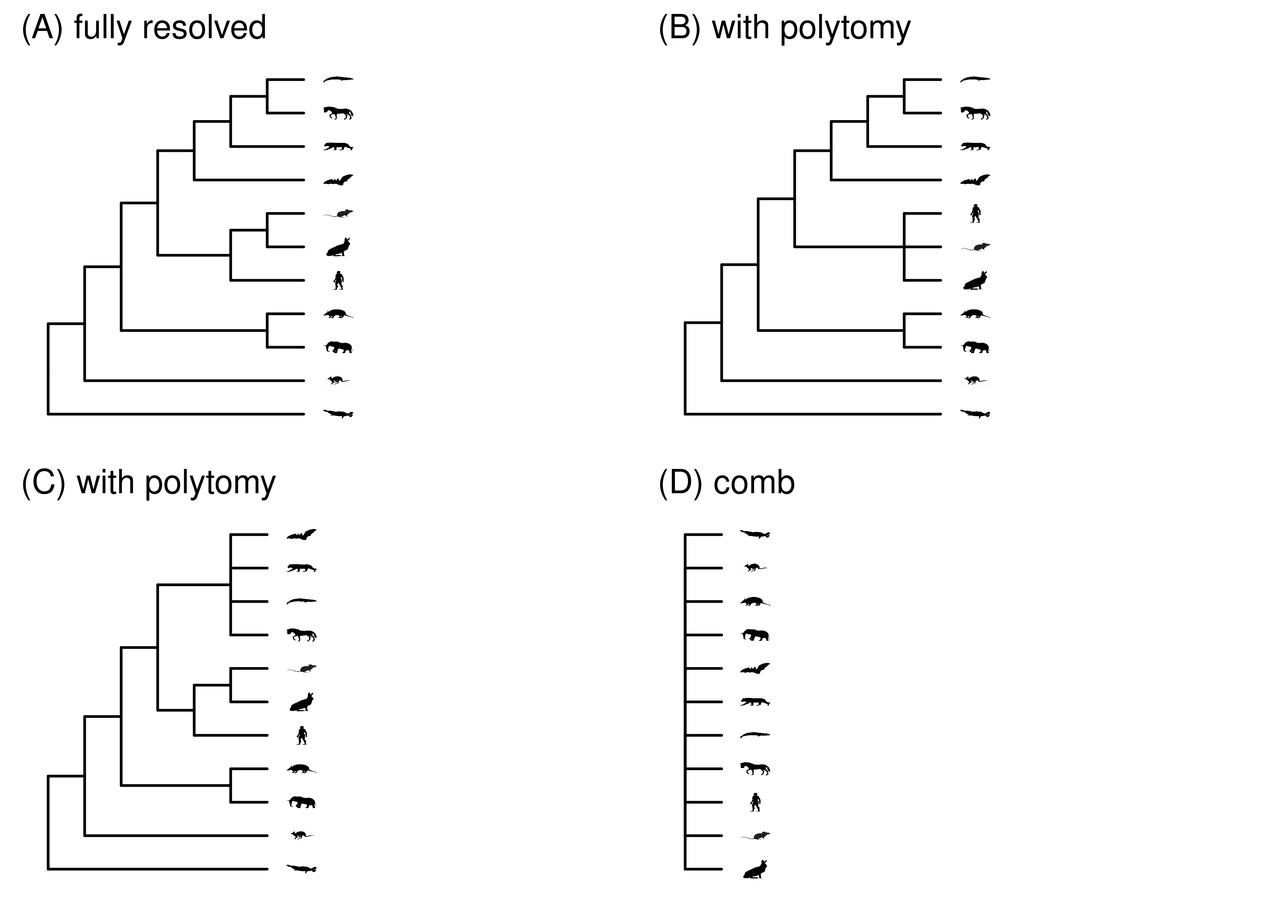 (A) The fully resolved mammal tree used in other figures. (B-C) Different polytomies created in this tree by collapsing some groups. (D) A fully unresolved comb tree.