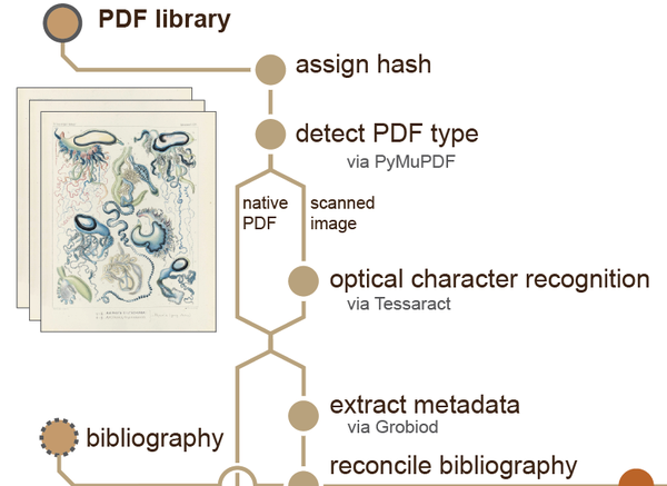 Diagram of the first steps of the corpus pipeline, starting from a library of PDFs
