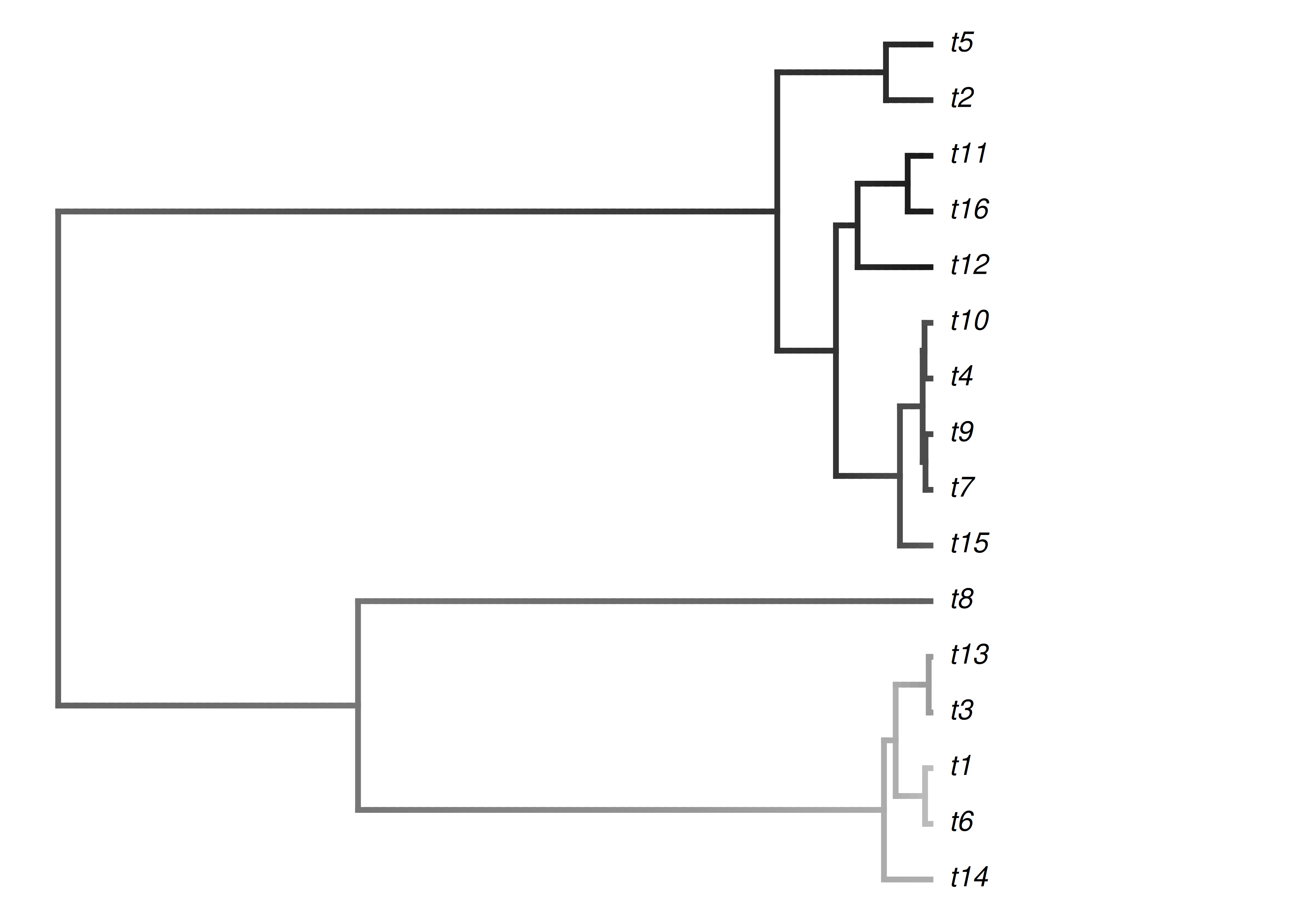 Maximum likelihood reconstruction of a continuous character evolving under Brownian motion. A grayscale gradient (light = low, dark = high) maps trait values along the branches, interpolating between the estimated ancestral values at the nodes and the observed values at the tips. The reconstruction is a smooth, branch-length-weighted interpolation, and estimates at deep nodes are pulled toward the overall mean of the tree.