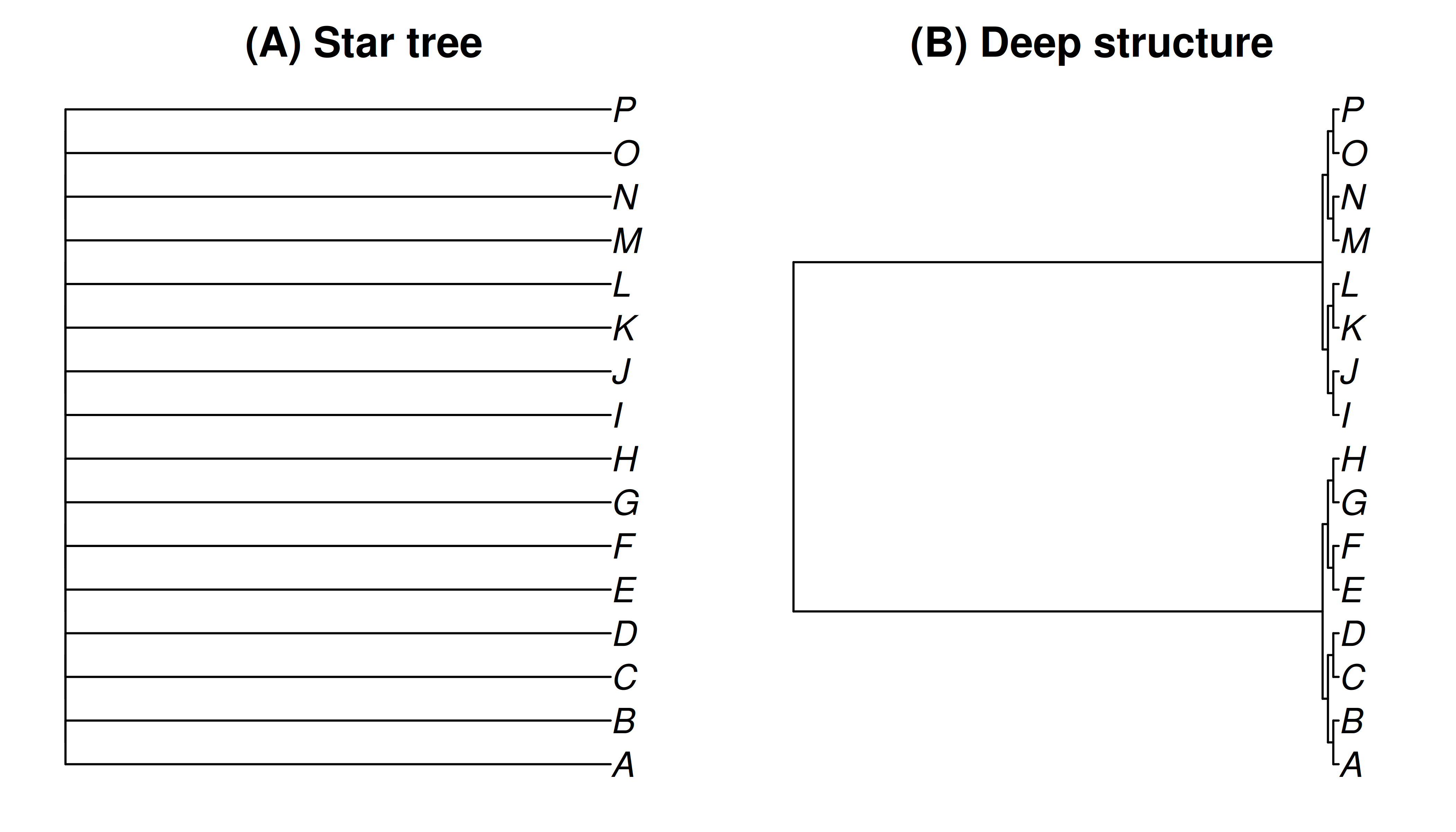 Two trees with the same sixteen tips, each scaled to the same root age. (A) A star tree, in which all of the evolutionary change happens on the terminal branches, so the tips share essentially no history. (B) A tree with deep structure, in which most of the change is shared along internal branches, so closely related tips share most of their history.