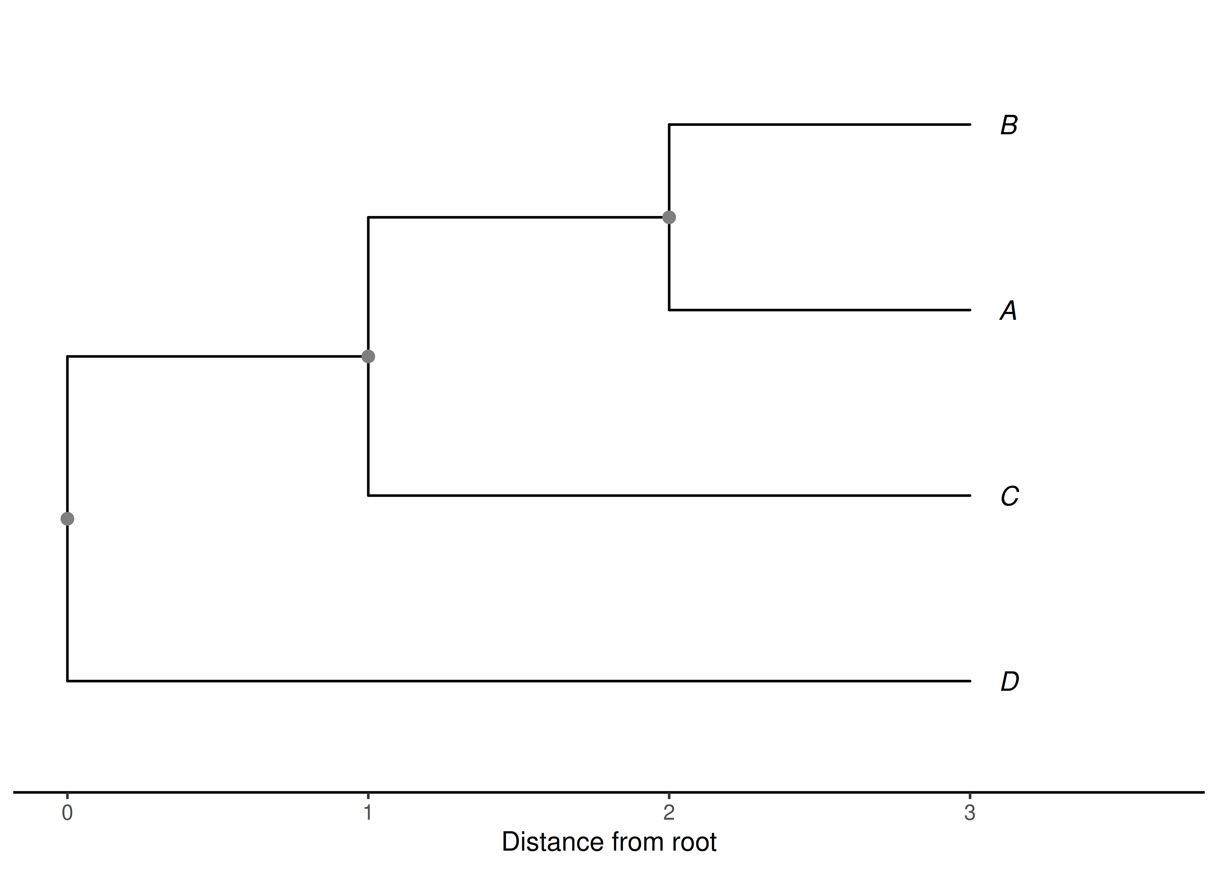 A four-tip tree drawn with its branch lengths; the horizontal axis is distance from the root. The covariance between two tips is the distance from the root to their most recent common ancestor---the internal node (gray) at which their lineages join. Sisters A and B join at the more recent node (distance 2), A and C (and B and C) join at the older node (distance 1), and D joins the others only at the root (distance 0). The variance of each tip is its total distance from the root, here 3 for every tip because the tree is ultrametric. These depths are exactly the entries of the covariance matrix in Equation \@ref(eq:comp-vcv).