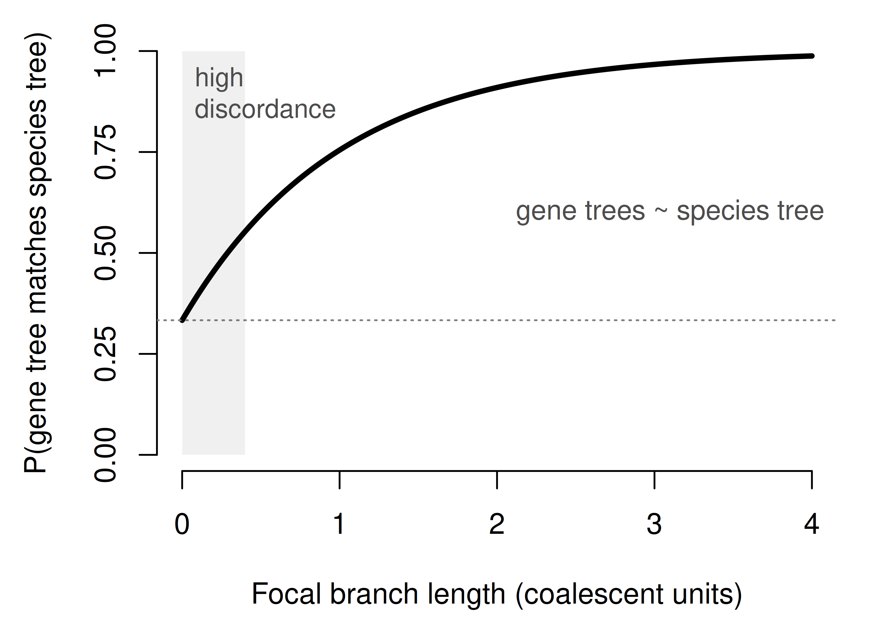The probability that the gene tree matches the species tree rises as the focal branch lengthens (in coalescent units). A short focal branch, as at the base of a rapid radiation, leaves a wide zone of frequent discordance; a long one leaves gene trees essentially concordant.