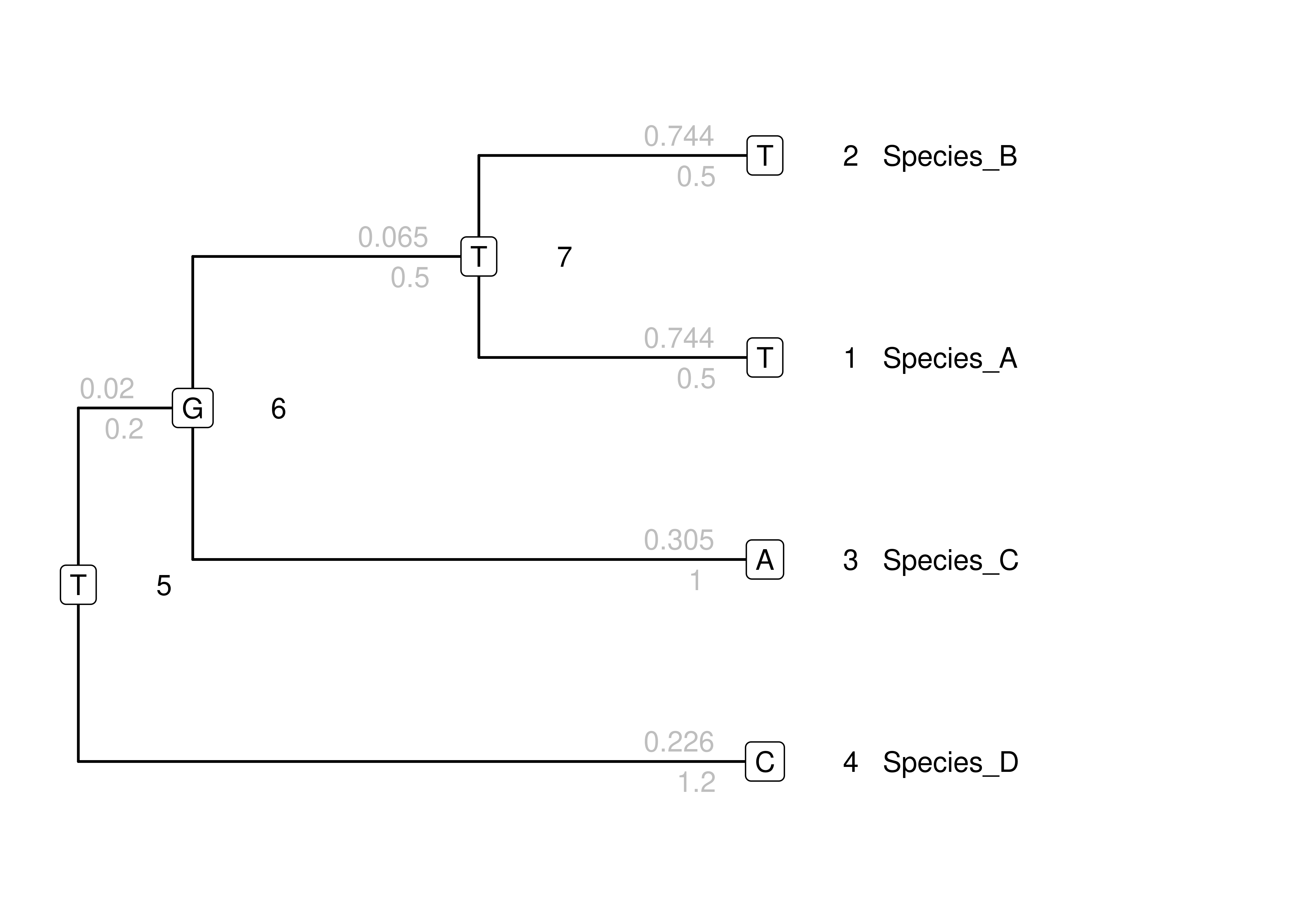 The same toy tree as above, but with probabilities of the specific change along each branch above each branch (in gray).
